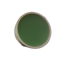 R2810G