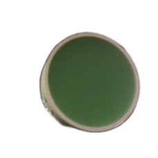 R2810G
