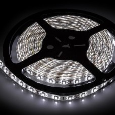 LM2835-WN60-WW-12V High Brightness 8W/m