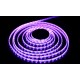 стрічка світлодіодна LM5050-WN60-RGB-12V (Normal Brightness) 12W,m Leomay