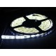 стрічка світлодіодна LM5050-WN60-WW-12V (Normal Brightness) 12W,m Leomay