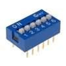 DS-06