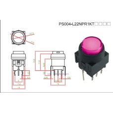 PS004-L22NPR1KTURXX