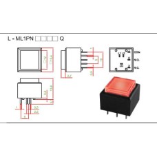 L-ML1PNR3XXQ