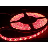 GNL-FSP-5050UEC-WP (лента светодиодная) G-nor Electronics
