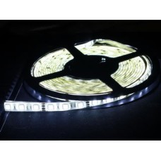60led5050WB IP65 стрічка світлодіодна