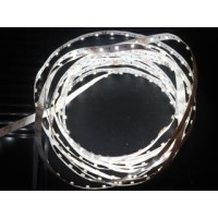 60led3528WB IP65 (стрічка світлодіодна) Epistar