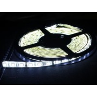 стрічка світлодіодна KT-5050W-60D-12V-10MM White IP20 KENTO