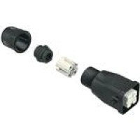 3A Withharax (09200030445-Harting)