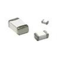 1206SFF300F,32-2 TE