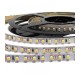 Світлодіодна LED стрічка гнучка 12В PROLUM IP20 2835/120 Series "SG" 5м