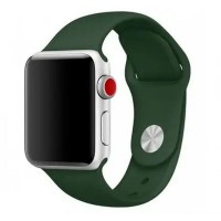 Ремешок Apple Watch 42, Watch 44, Silicone WatchBand, Virid, Бордовый