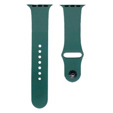 Ремінець Apple Watch 38, Watch 40, Silicone WatchBand, Cactus, Зелений