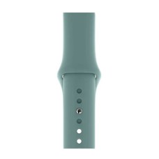 Ремінець Apple Watch 42, Watch 44, Silicone Band, Кактус, Зелений