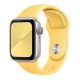 Ремінець Apple Watch 38, Watch 40, Silicone WatchBand, Canary Yellow, Жовтий