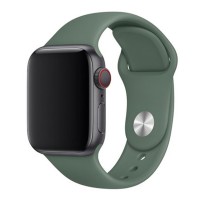 Ремешок Apple Watch 38, Watch 40, Silicone WatchBand, Pine Green, Зеленый