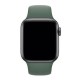 Ремешок Apple Watch 38, Watch 40, Silicone WatchBand, Pine Green, Зеленый