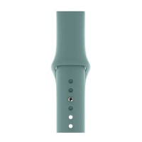 Ремінець Apple Watch 38, Watch 40, Silicone Band, Кактус, Зелений