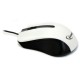 Миша Gembird MUS-101-W White