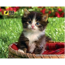 Килимок PODMYSHKU кошеня в корзині