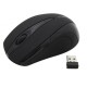 Миша Esperanza EM101K Black