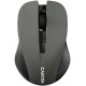 Миша Canyon CNE-CMSW1G Grey