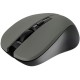 Миша Canyon CNE-CMSW1G Grey