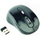 Миша Gembird MUSW-6B-01 Wireless Black