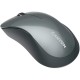Миша Canyon CNE-CMSW11B Grey