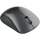Миша Canyon CNE-CMSW11B Grey