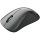 Миша Canyon CNE-CMSW11B Grey