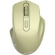 Миша Canyon CNE-CMSW15GO Golden
