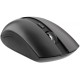Миша 2E MF217 Black (2E-MF217WB)