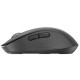 Миша Logitech Signature M650 Graphite (910-006253)