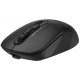 Миша A4tech Fstyler FB10C Stone Black