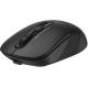 Миша A4tech Fstyler FB10CS Stone Black