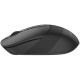 Миша A4tech Fstyler FB10CS Stone Black