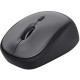 Миша Trust Yvi+ Silent Eco Wireless Black
