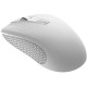 Миша Canyon CNE-CMSW07W White