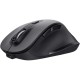 Миша Trust Fyda Eco Wireless Black (24727)