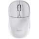 Миша Trust Primo Wireless White (24795)