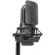 Мікрофон Fifine K726 XLR Black