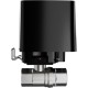 Кран перекриття води Ajax WaterStop 1 inch valve Black (50534)