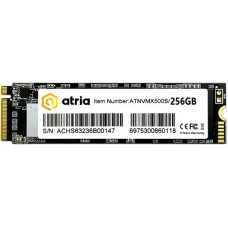 SSD-накопичувач Atria X500S PCIe 3.0 x4 NVMe 256GB (ATNVMX500S/256)