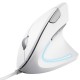 Миша Trust Verto Ergonomic White (25133)