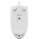 Мышь A4tech N-530S V-Track White (N-530S White)