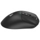 Миша Bloody R73 Ultra Duo Black