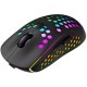 Мышь Canyon Haster GMW-18 Wireless Black (CND-SGMW18)