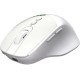 Миша OfficePro M520W White
