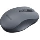 Миша Lenovo WL310 Silent Wireless Grey (GY51Q65621)